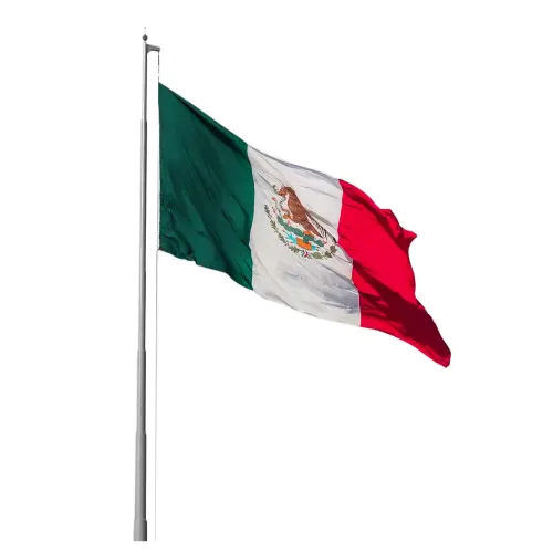 Bandera Para Izar En Tela Tafetan Con Escudo Sublimado 4 X 2.5 M